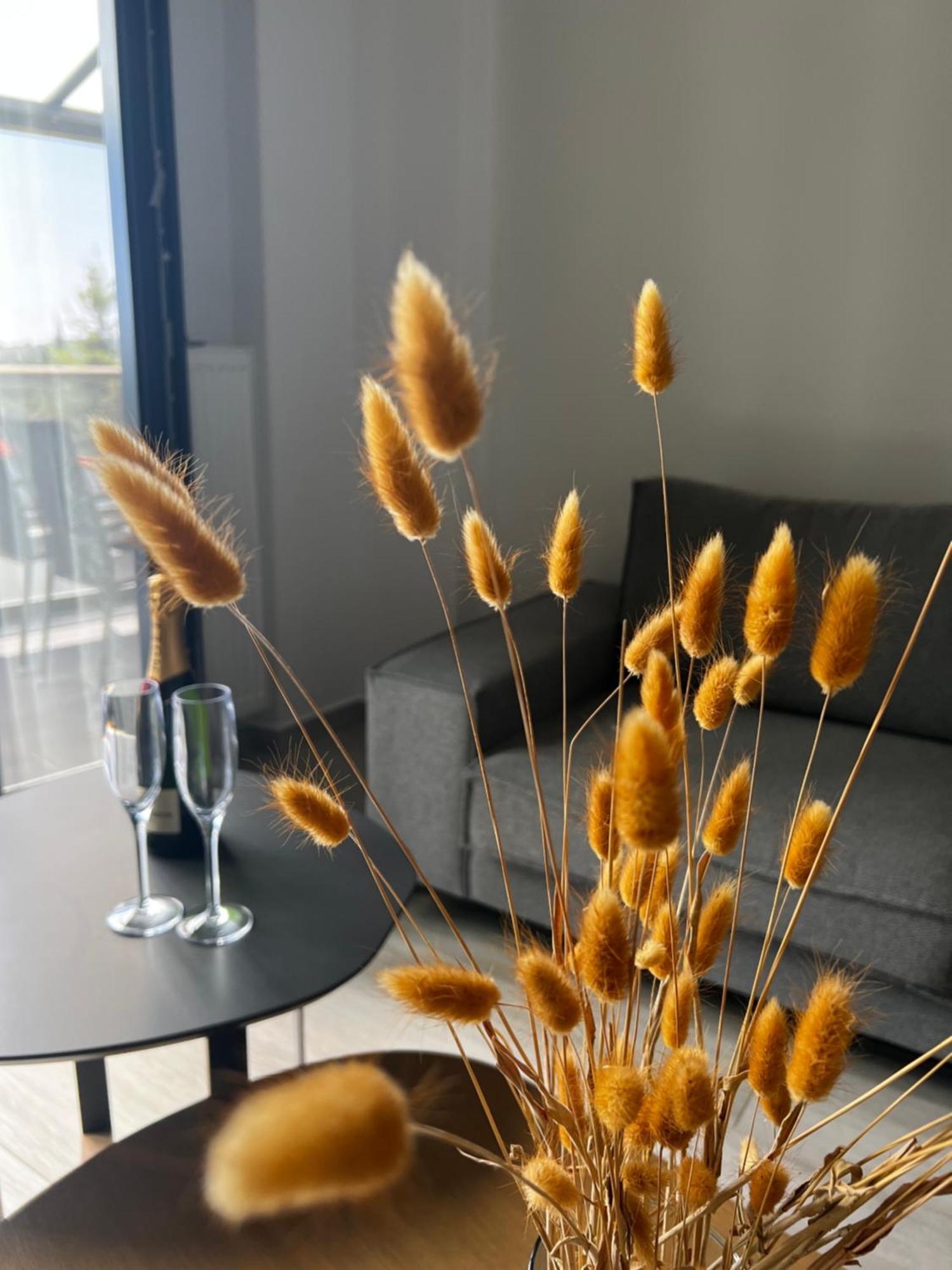 L&s House Apartment